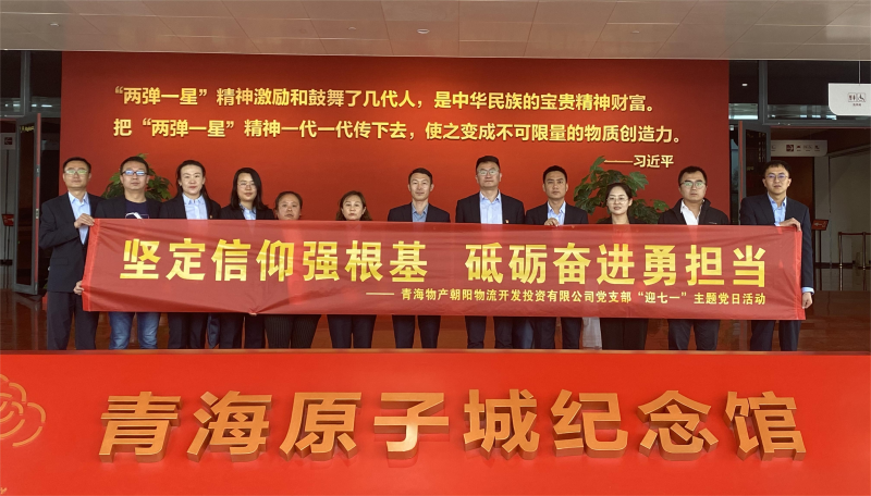 堅定信仰強根基，砥礪奮進勇擔當 朝物開投公司黨支部開展迎“七一”主題黨日活動